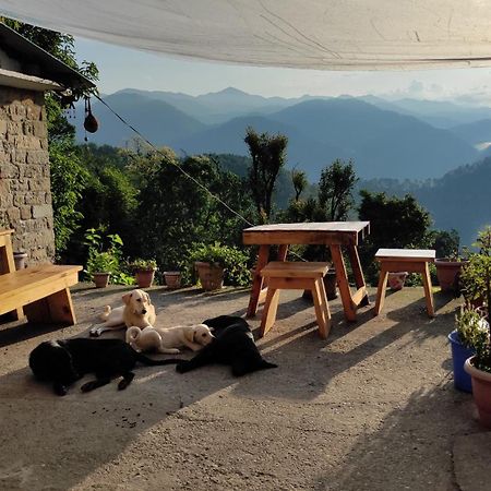 Vista Hostel Jeolikote, Nainital Patwa Dunga Cameră foto