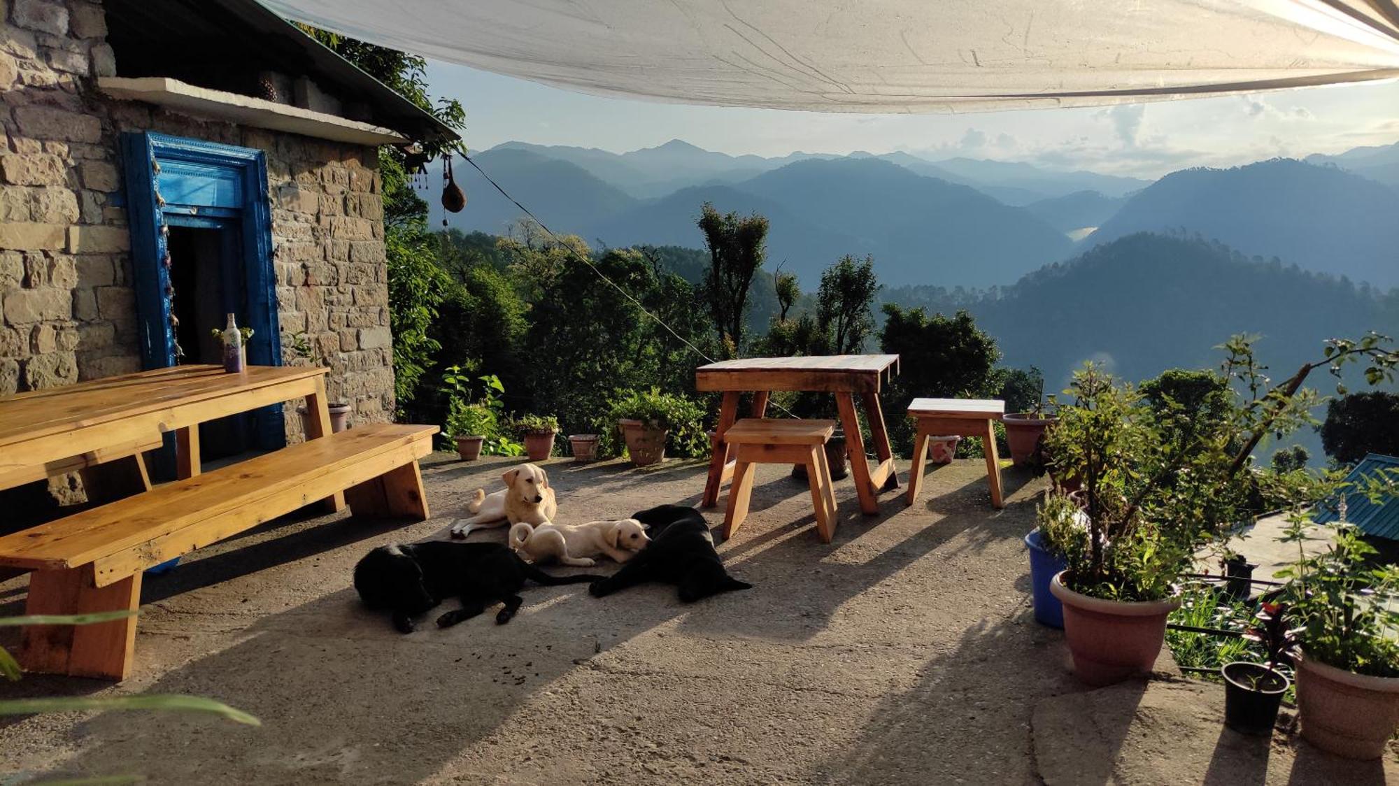 Vista Hostel Jeolikote, Nainital Patwa Dunga Cameră foto
